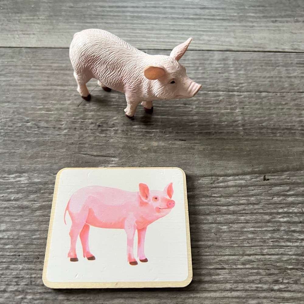 Lovevery Companion Animal Match replacement Pig and card